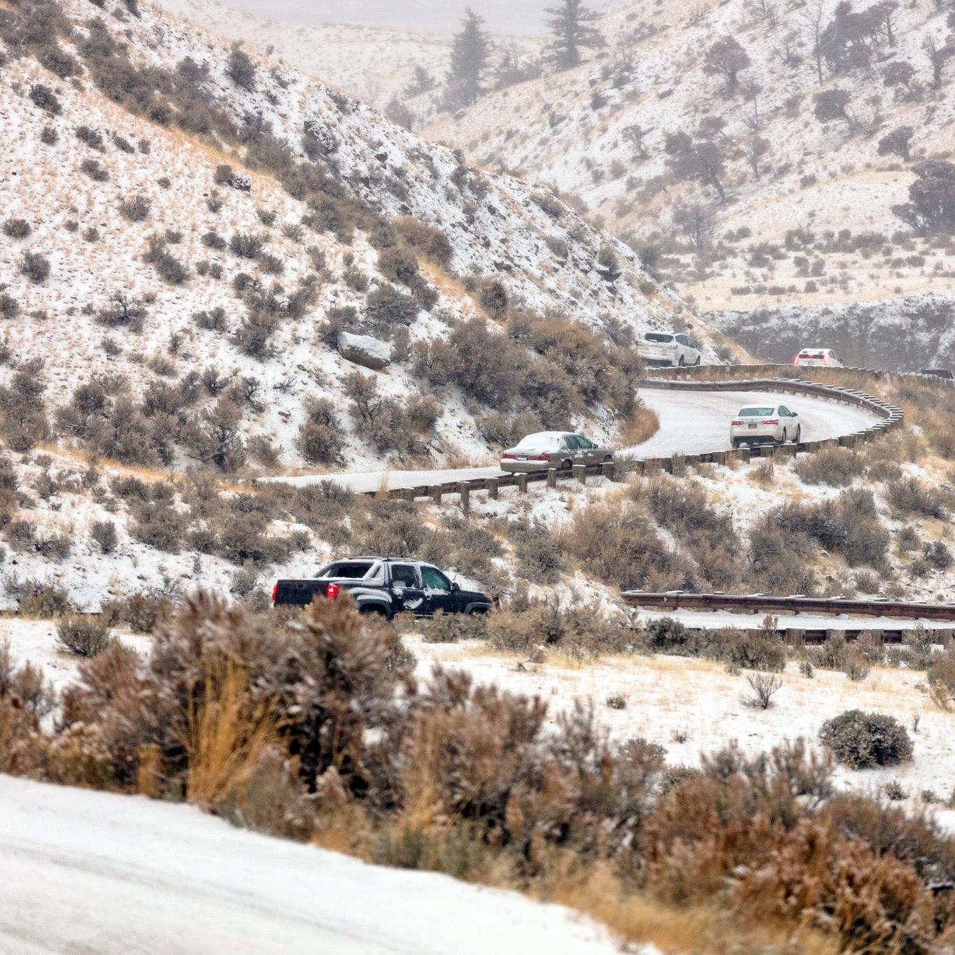Cars navigate snow-covered, winding road between the North Entrance and Mammoth Hot Springs