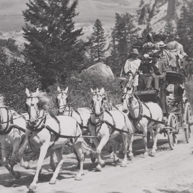 Six horse team pulling a stage coach