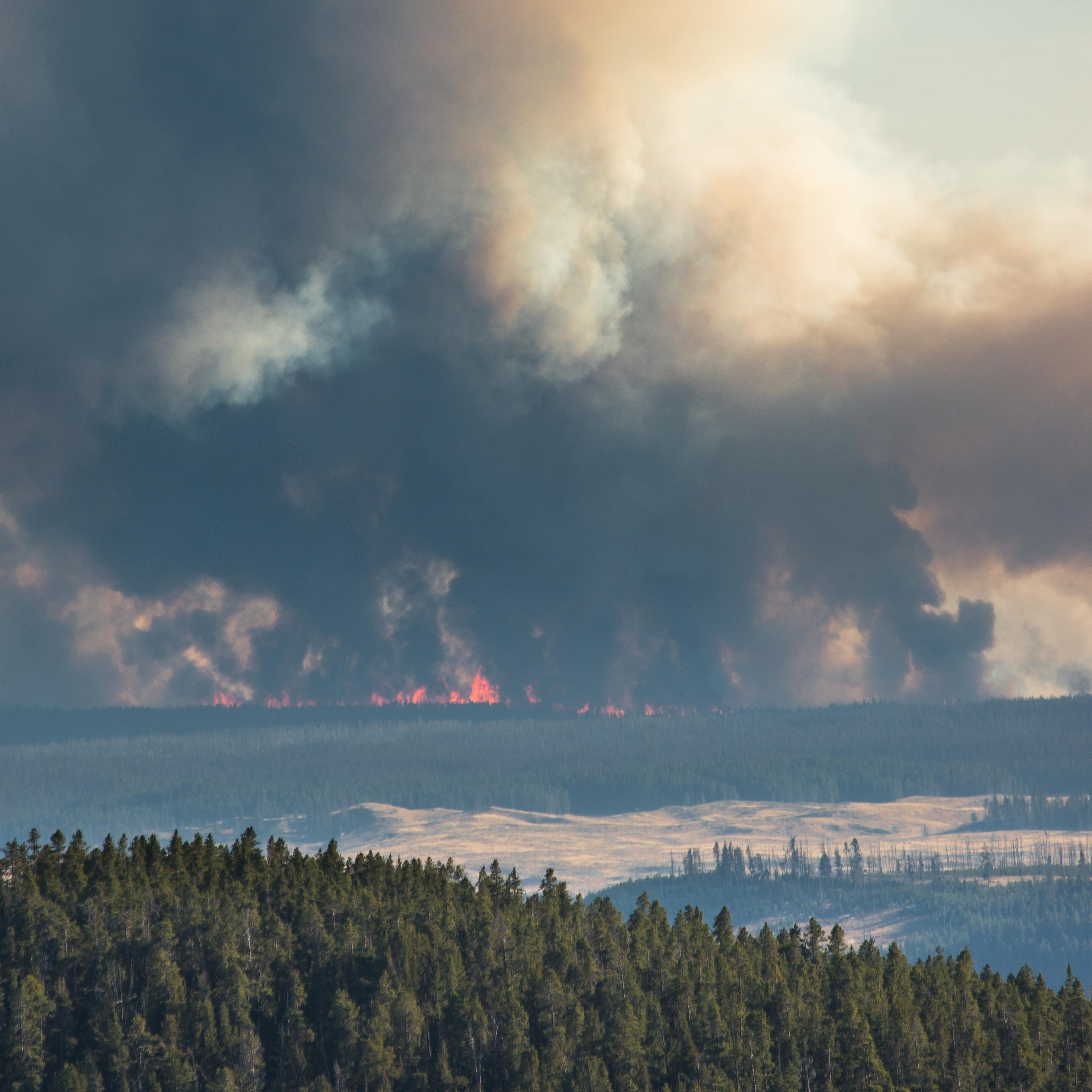Large plumes of smoke rise from the horizon