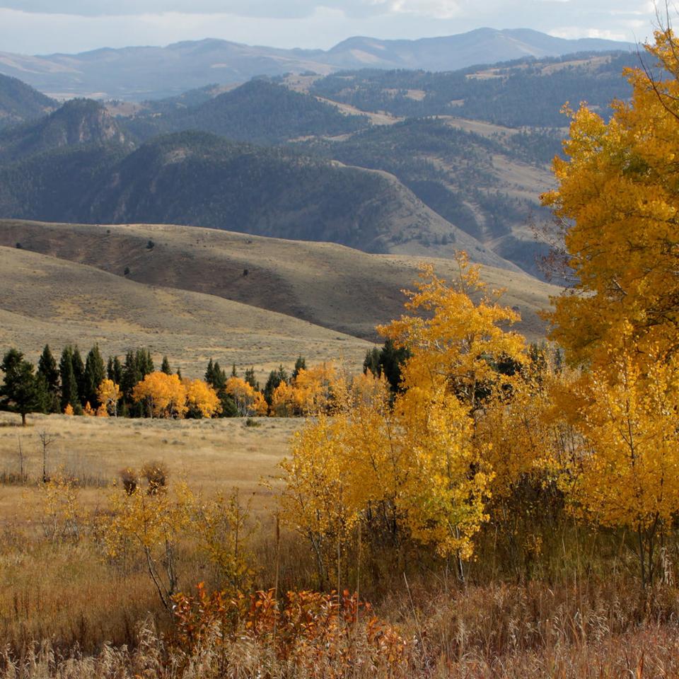 Fall leaves color a valley bounded by mountains