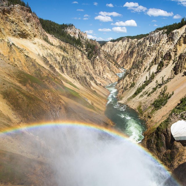 Looking down the Grand Canyon of the Yellowstone from the Brink of Lower Falls