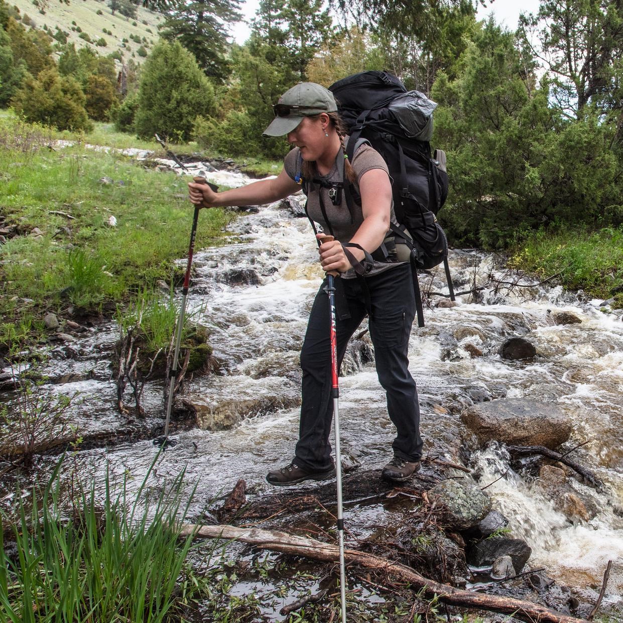 Two Hikers Injured in First Bear Attack of 2026 at Yellowstone, Prompting Widespread Closures — image 4