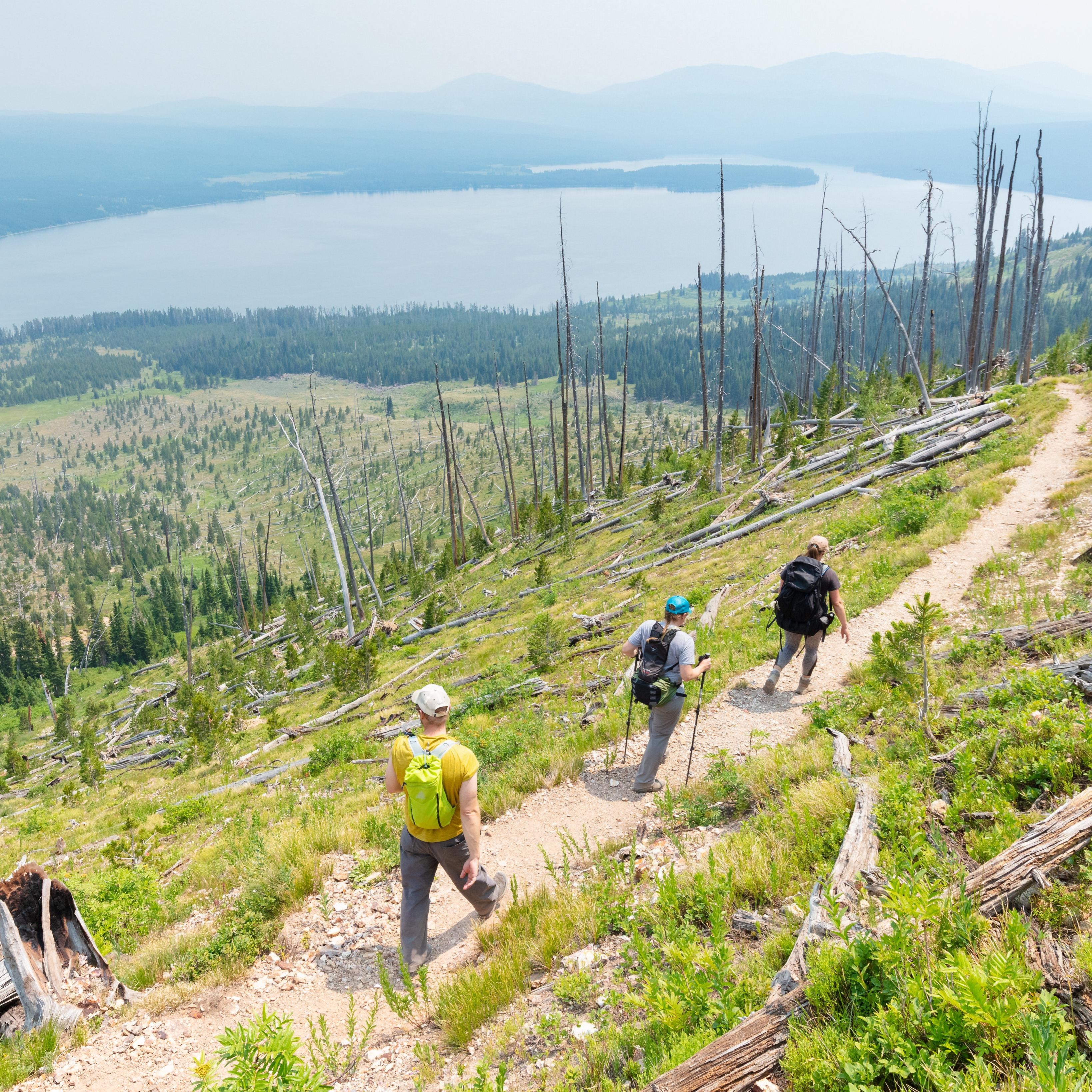 Two Hikers Injured in First Bear Attack of 2026 at Yellowstone, Prompting Widespread Closures — image 5