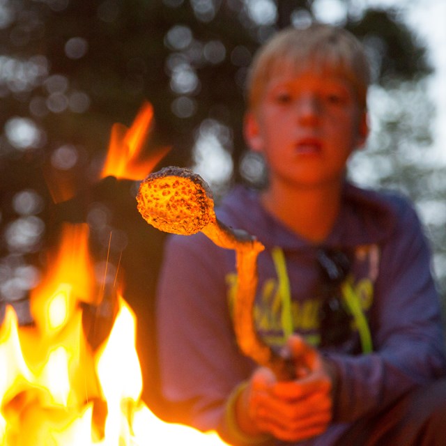 a boy roasting a marshmallow over a campfire