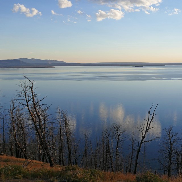 View of a still Yellowstone Lake shortly after sunrise, with the sky shades of blue and yellow.
