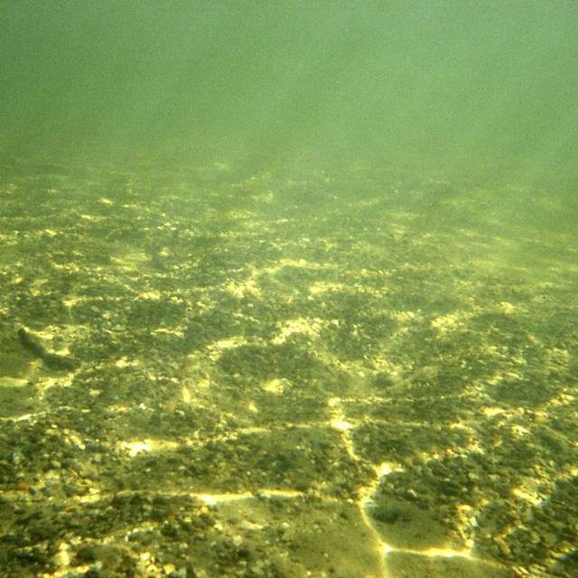 Underwater view of the lake floor, showing sand and gravel.