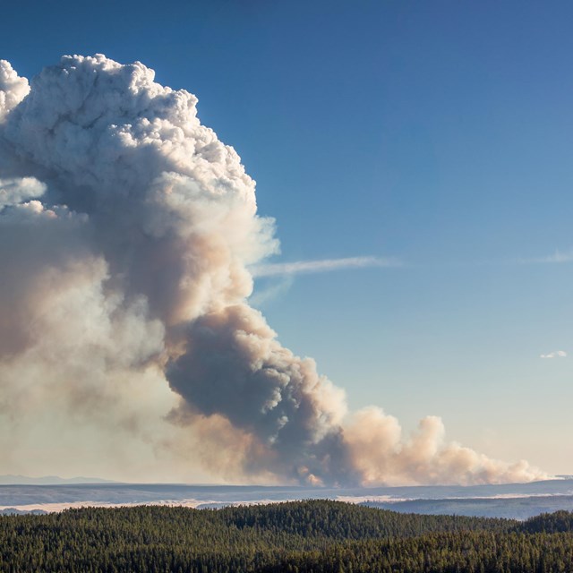 A smoke plume from a wildfire billows up into the sky, reducing the air quality.