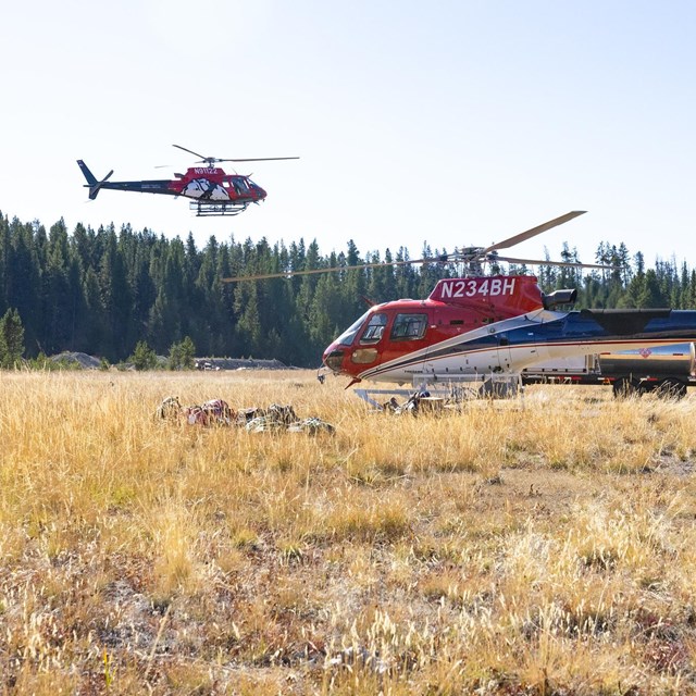 two helicopters taking off in a grassy field