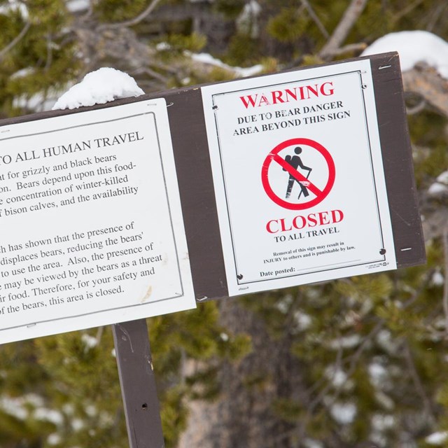 Photo of a sign indicating a bear management area