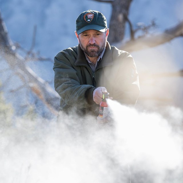 Photo of ranger deploying bear spray.