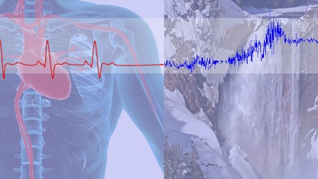 A graphic showing the human body and the Lower Falls of the Yellowstone.