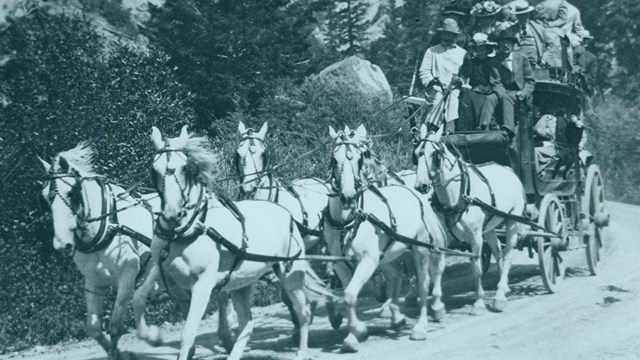 Link to Early Travel
