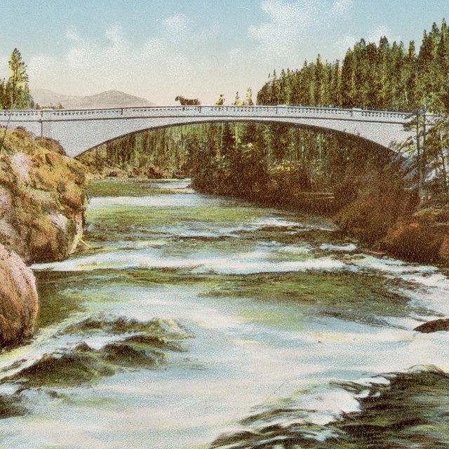 Canyon Bridge - Yellowstone Park (Postcard)