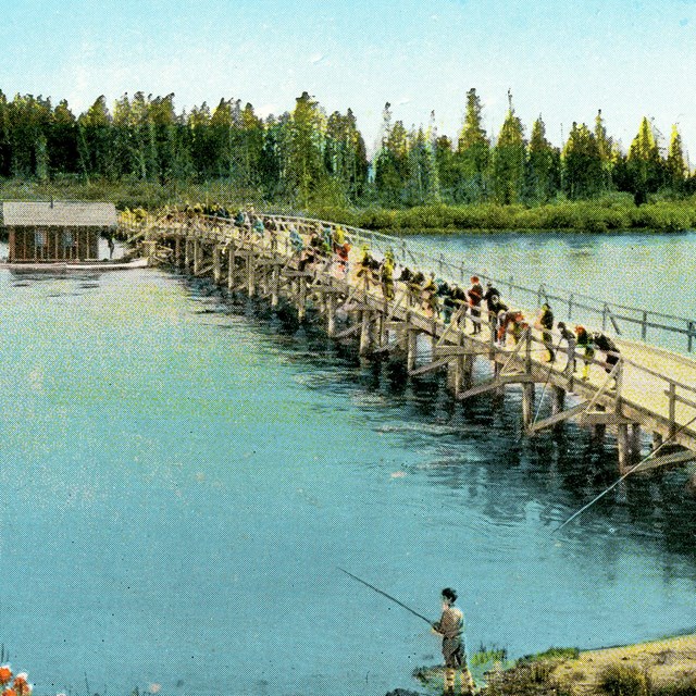 Fishing Bridge, Yellowstone Lake Outlet, Yellowstone Park