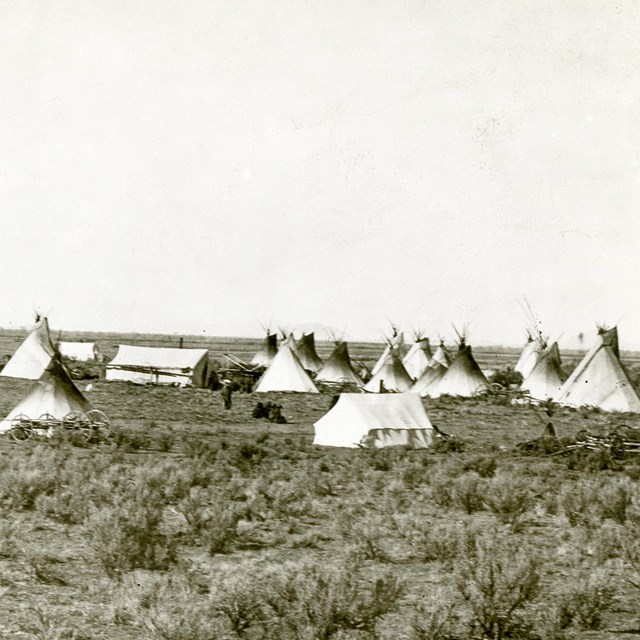 BANNOCK INDIANS, FORT HALL RESERVATION, IDAHO. LARGE CIRCULAR LODGE AND TENT CAMP ON FLAT GRASSY ARE