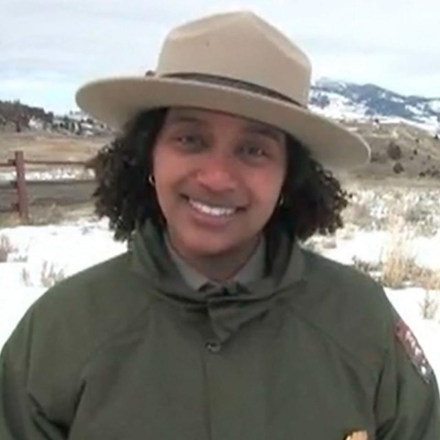 Inside Yellowstone