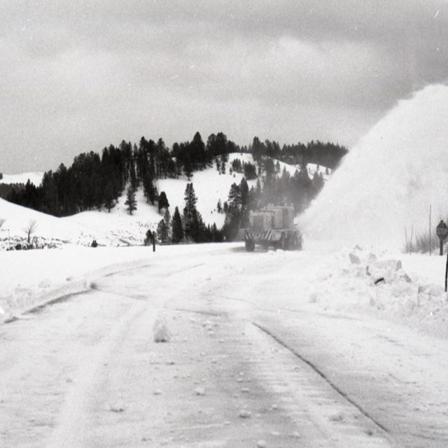 Scene of Snow Vehicle