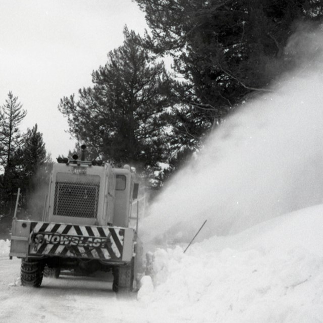 Scene of Snow Vehicle