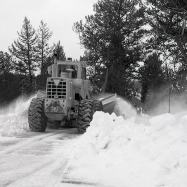 Scene of Snow Vehicle