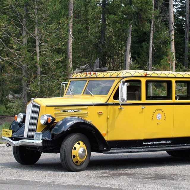 Yellow Bus