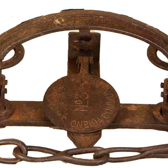 Beaver Trap