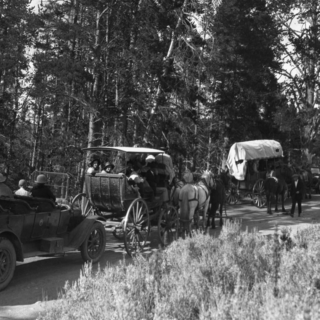Stagecoach and Tour Bus Traffic Jam