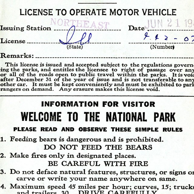 License to Operate Motor Vehicle