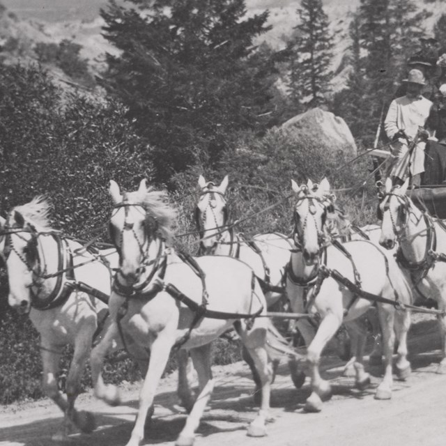 Early Tourism