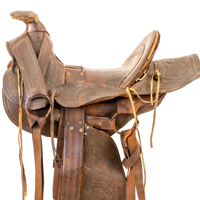 Stock Saddle