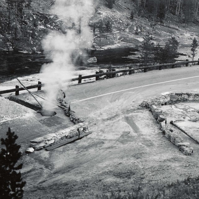 Beryl Spring Road
