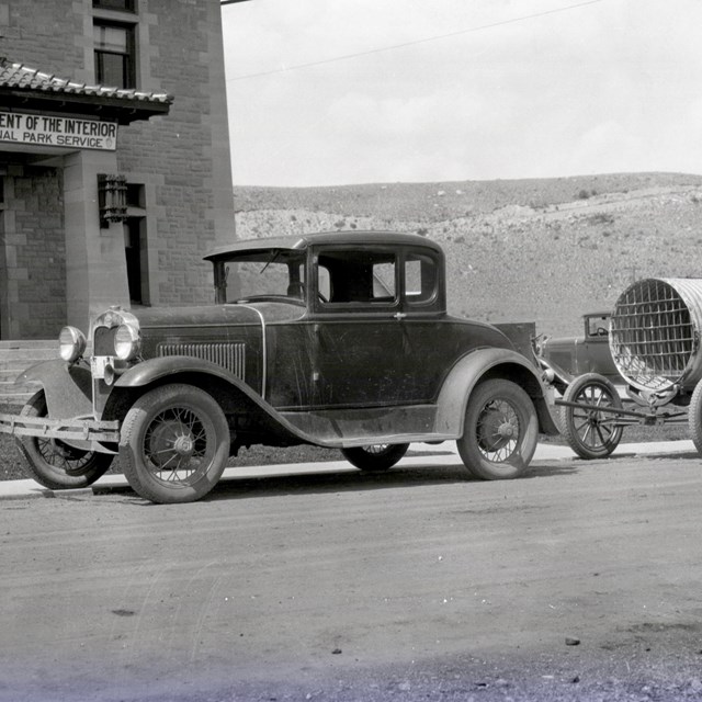 Assistant Chief Ranger with bear cage