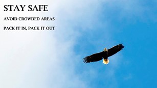 Eagle flying in blue sky  with words 