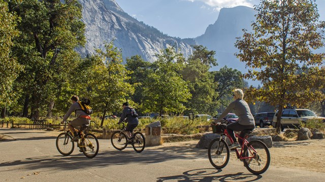 bicyclists on bike path in Yosemite Valley.