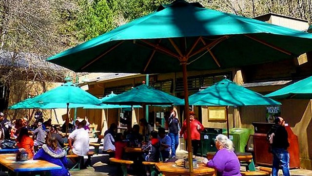 People dining under outdoor green umbrellas.