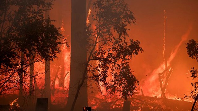 Red flames burn behind black silhouettes of trees during the Ferguson Fire.