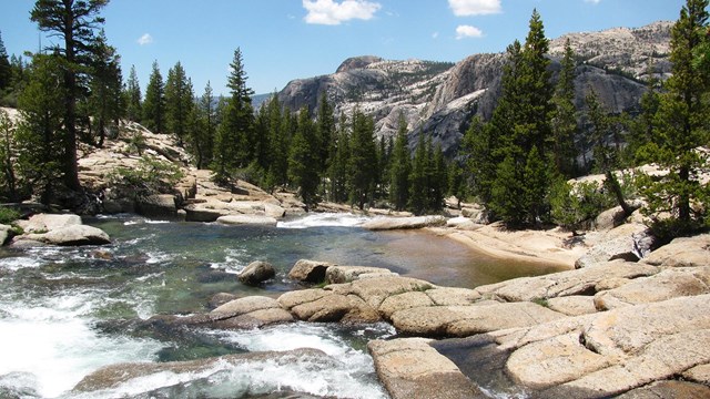 A river flows over granite and through trees in the high country.