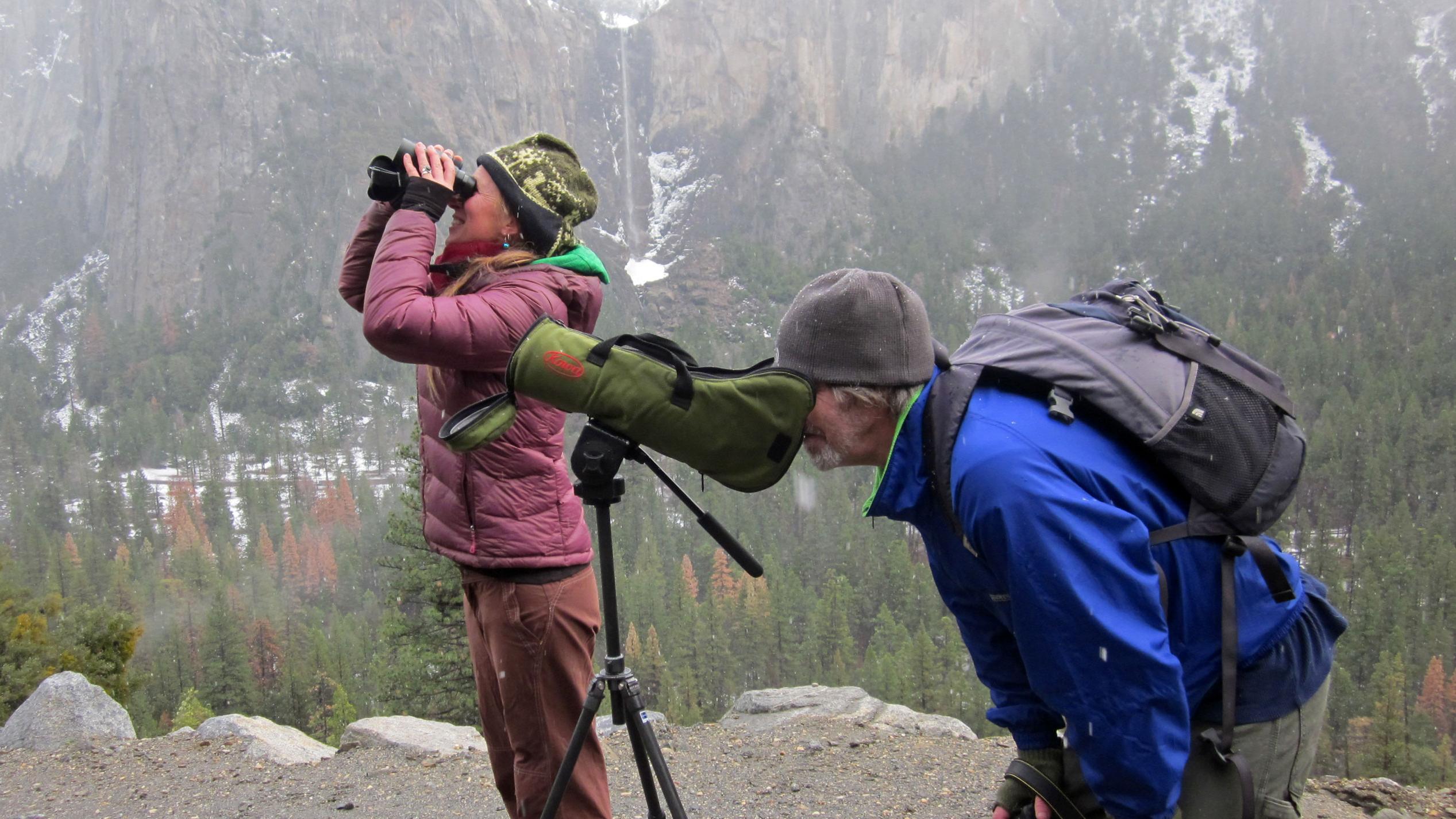 Visitors looking for birds