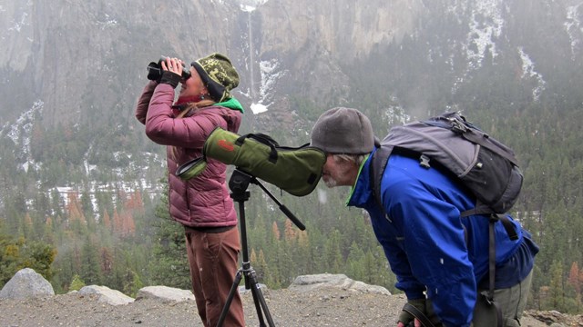 Visitors looking for birds