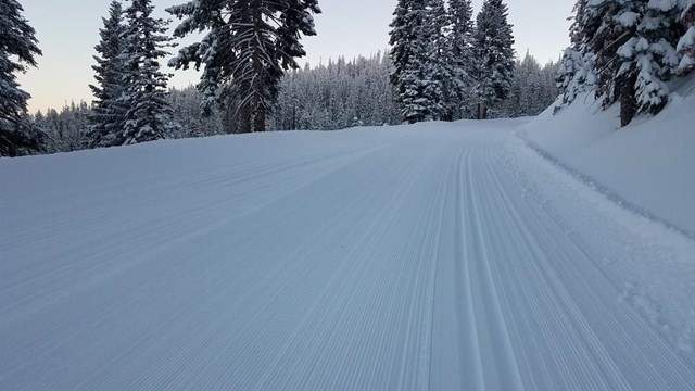 Glacier Point Road covered in snow and groomed for skiing
