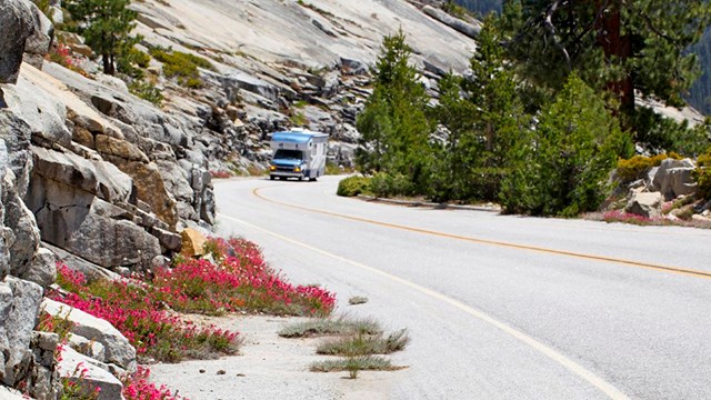 RV traveling along Tioga Road