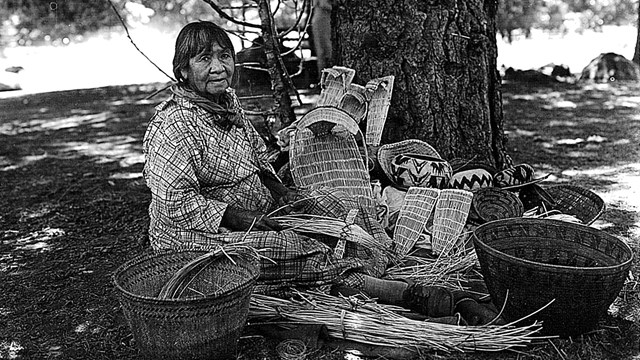 Maggie Howard, early Yosemite Indian, sitting among her baskets