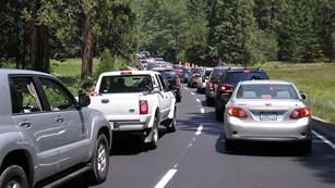 Two lanes of traffic in Yosemite Valley