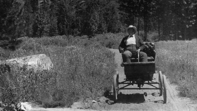 Man sitting in stagecoach, El Capitan in background.