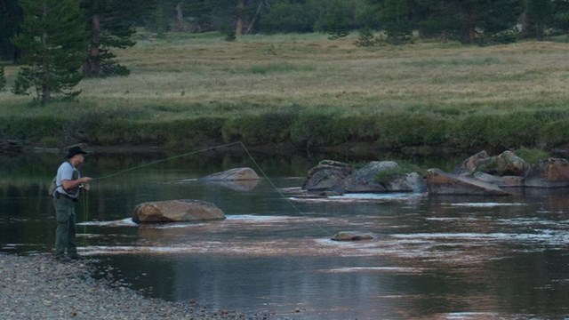 Fisherman in Tuolumne Meadows