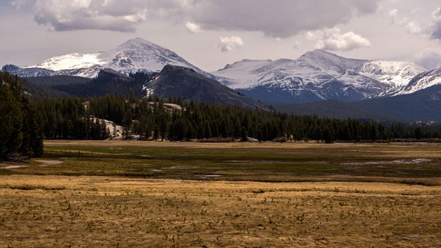 View of Tuolumne Meadows and Pothole Dome