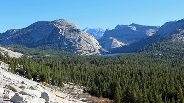 View from Olmsted Point looking toward Tenaya Lake