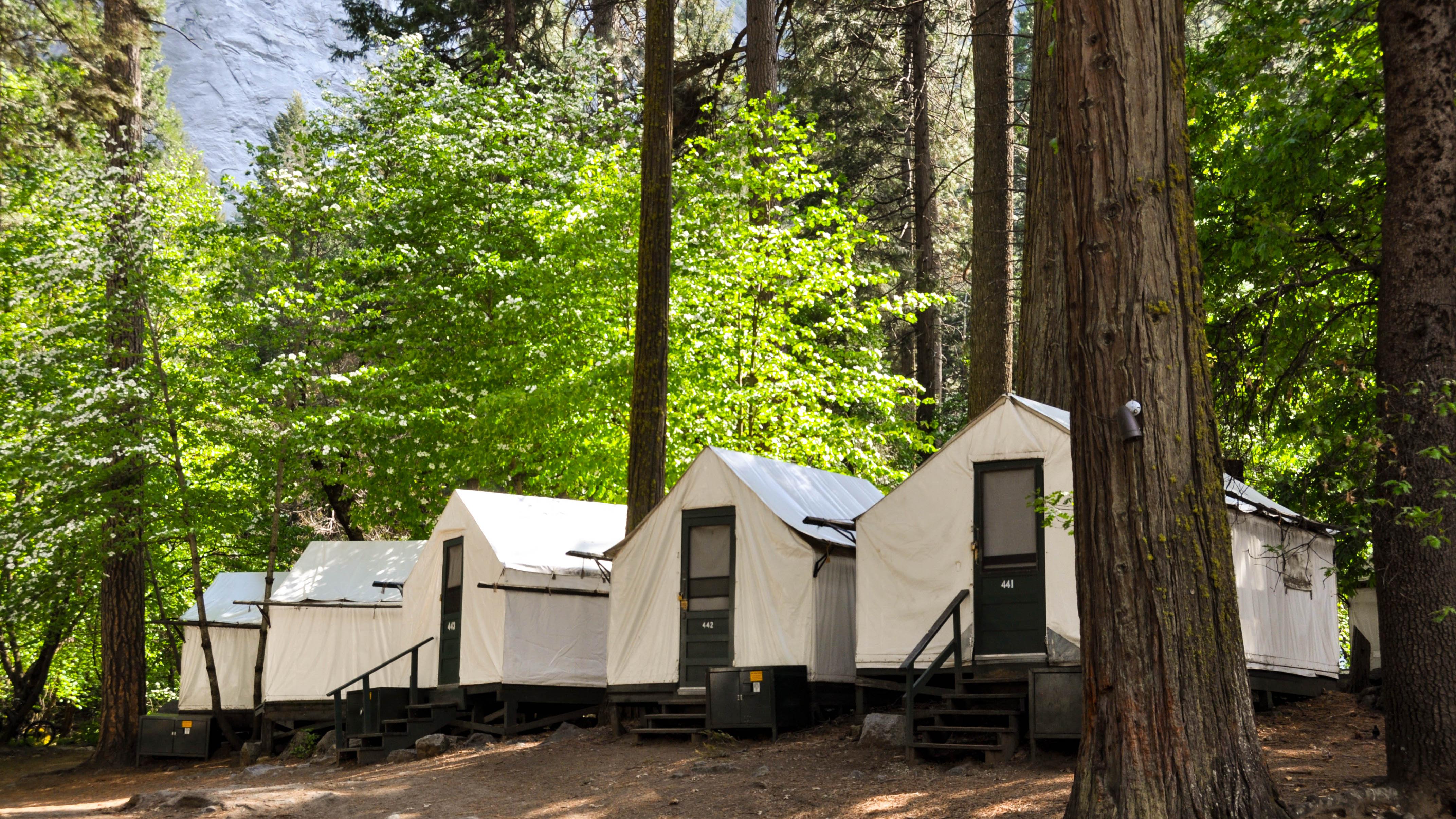 Lodging