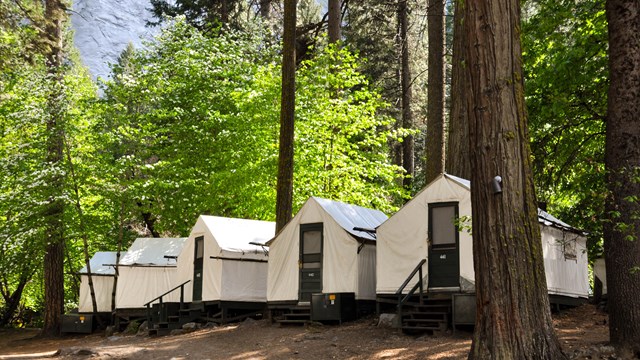 Lodging