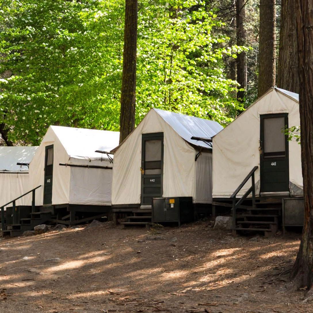Image of Curry Village cabins