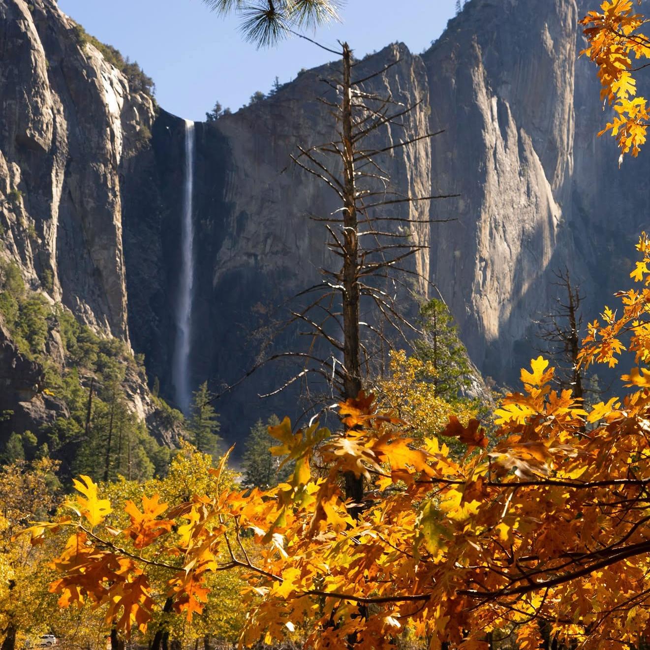 Fall foliage with Bridalveil Fall in background